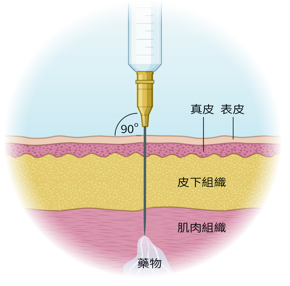 健康刊物 | 全民健康基金會