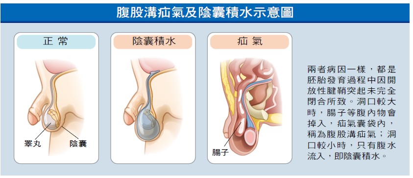 健康刊物 全民健康基金會