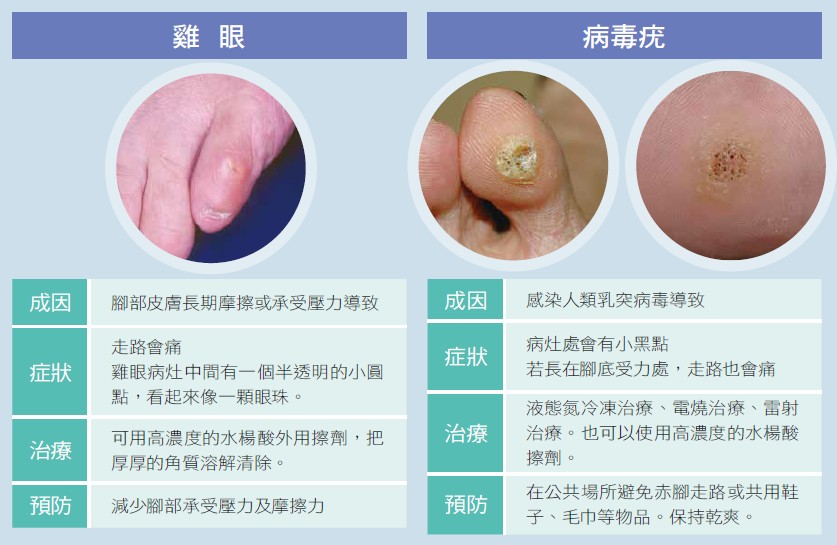 健康刊物 全民健康基金會