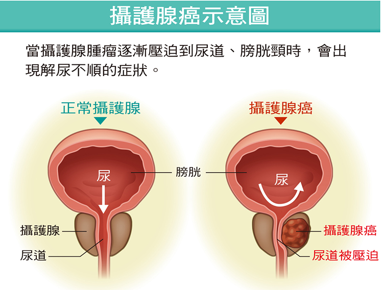 健康刊物 全民健康基金會