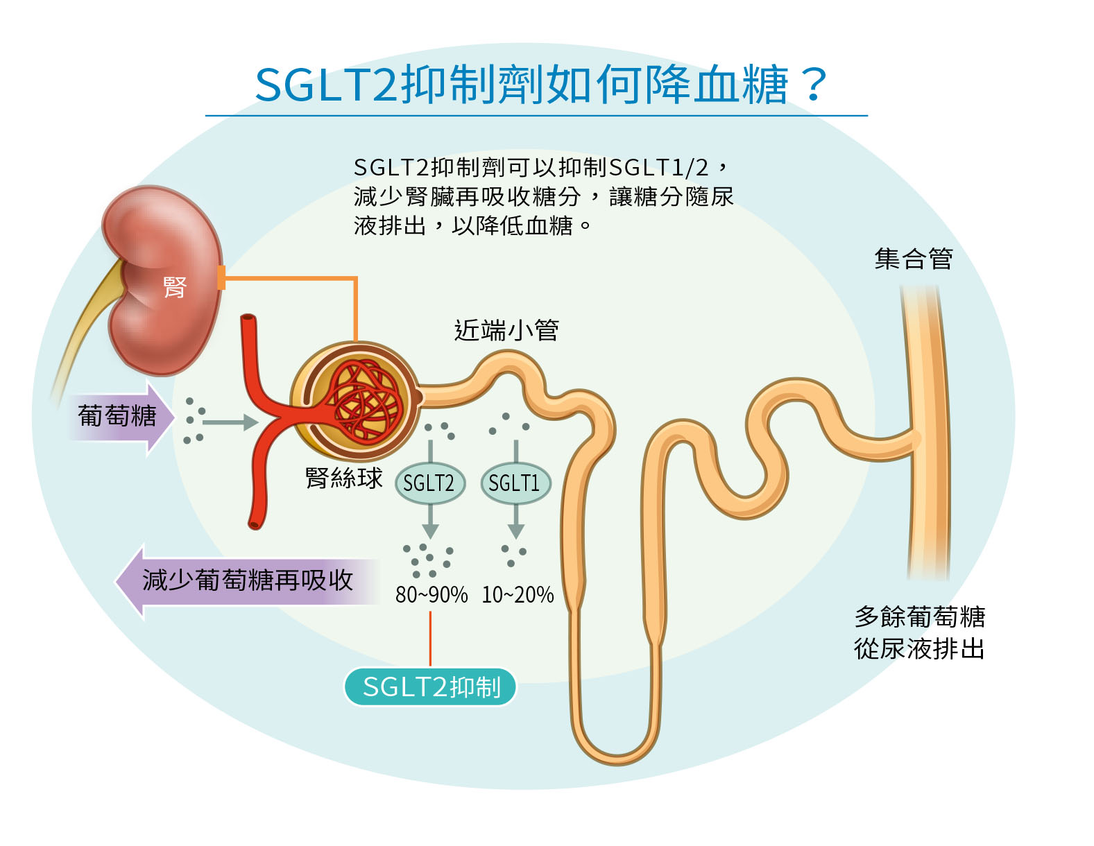 健康刊物 | 全民健康基金會