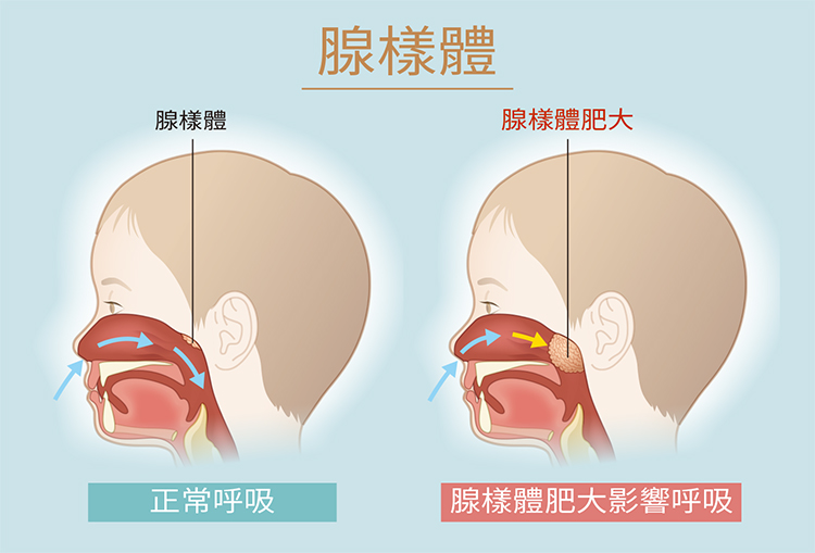 健康刊物 全民健康基金會