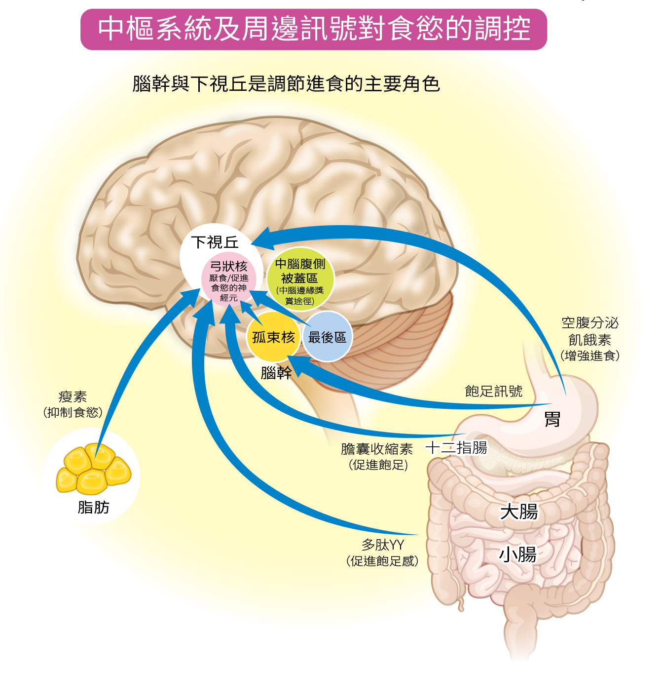 最新消息| 全民健康基金會