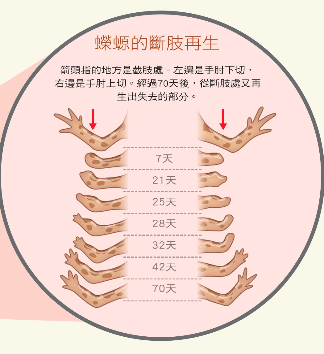 健康刊物 全民健康基金會