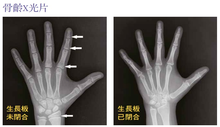 健康刊物 全民健康基金會