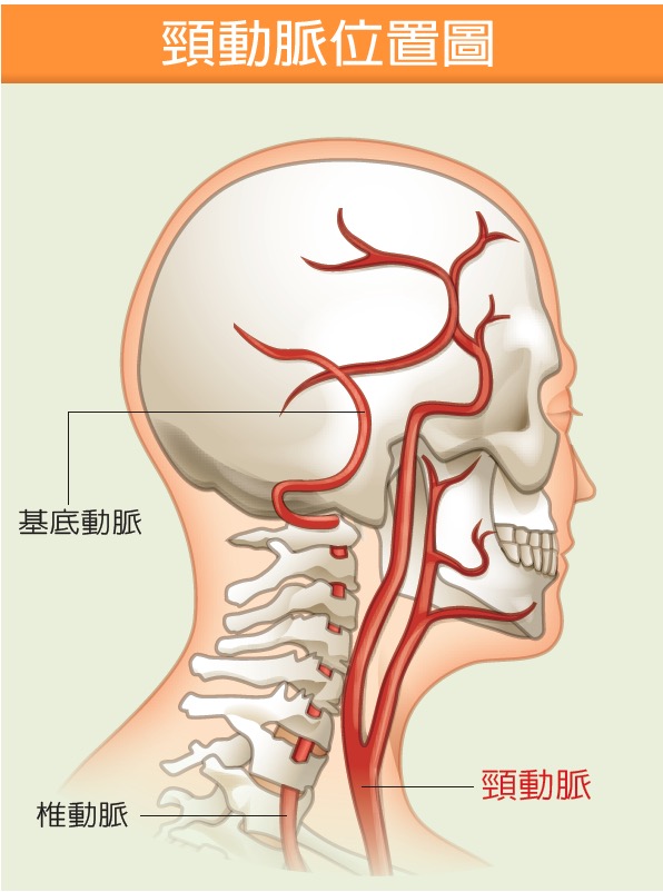 健康刊物 全民健康基金會